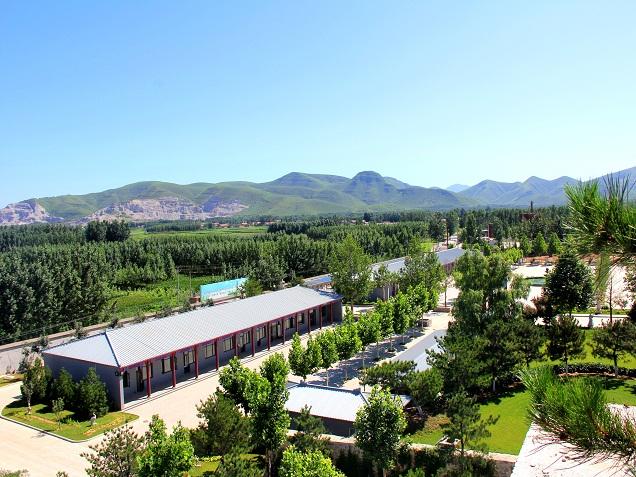 灵山宝塔墓地的具体位置及文化背景介绍-1