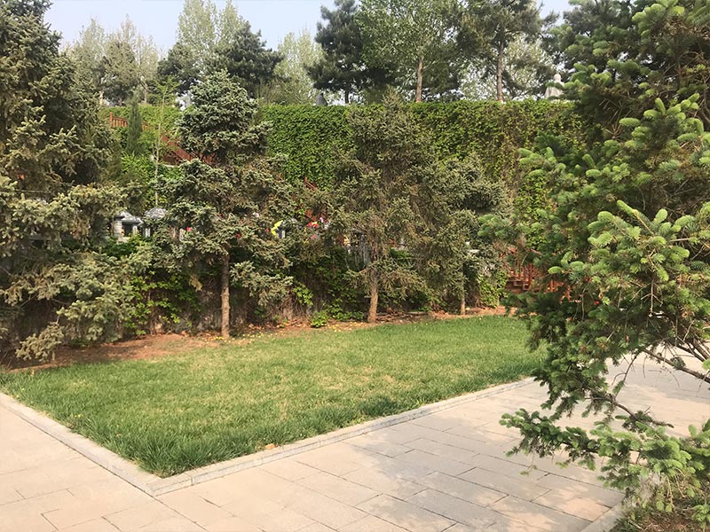 传统节日与现代生活：文化传承的新思考-3