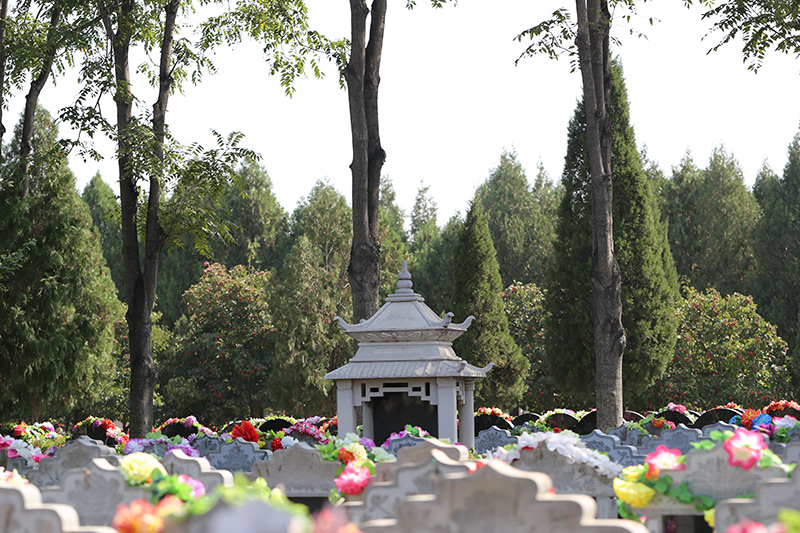 天慈墓园实地体验分享-1