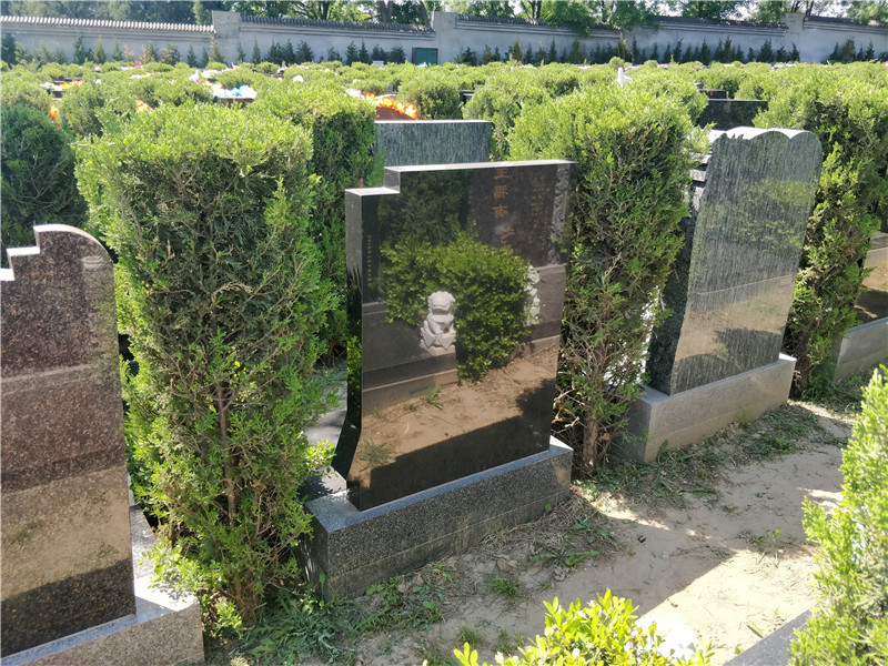 天寿陵园天荷园立碑186400
