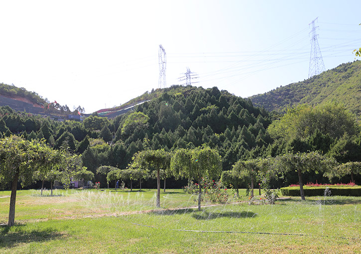 门头沟华侨陵园墓地价格及园区环境介绍-2