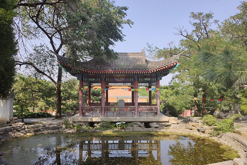 万佛华侨陵园怎么样？环境、服务与购墓指南全面解析-1