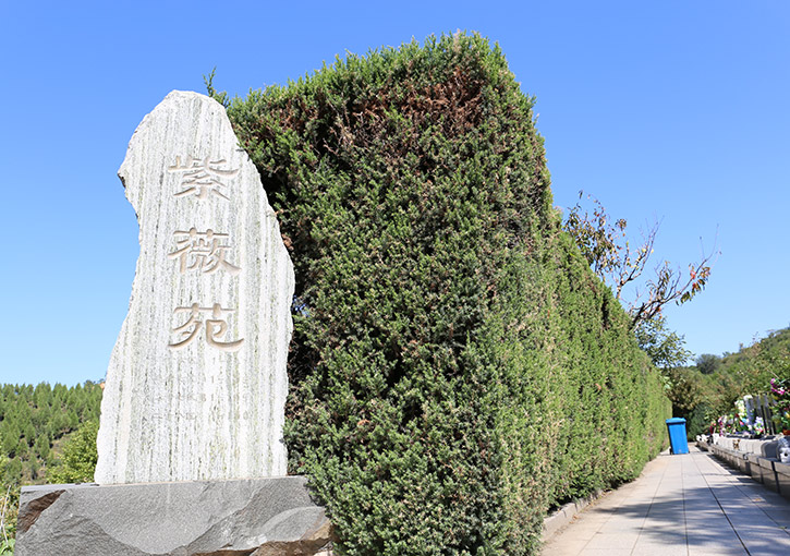 天山陵园墓地选择指南 为逝者寻找安息净土-1
