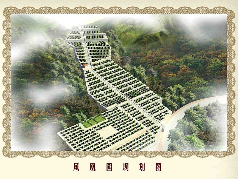 景仰园骨灰林管理处郑重声明：警惕虚假网站信息-1
