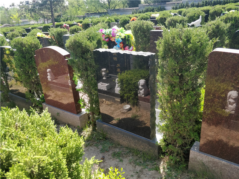 天寿陵园天荷园立碑186400