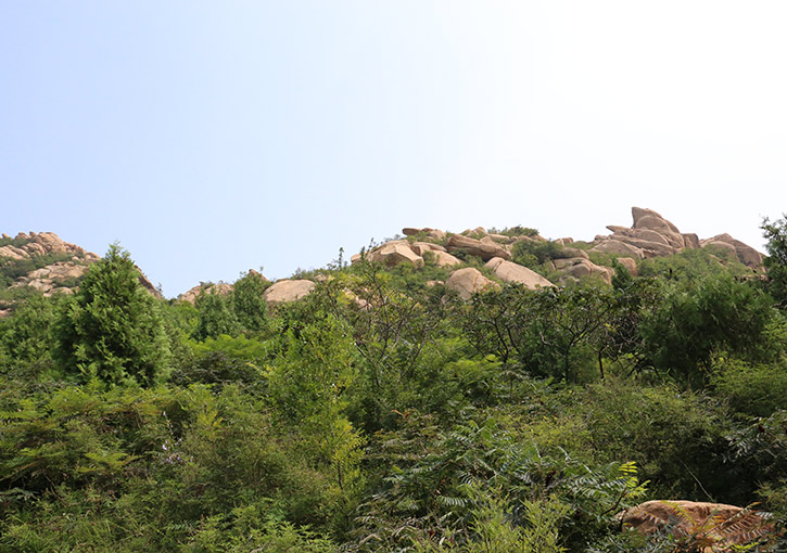 北京佛山陵园风水环境与墓地选择指南-1