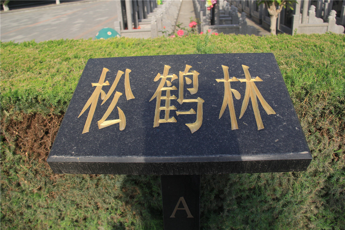 极乐园公墓：静谧中的生命记忆-3