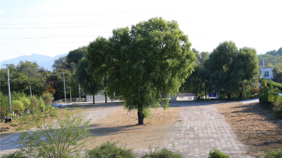 密云宝云岭墓园风水环境与陵园服务全面解析-2