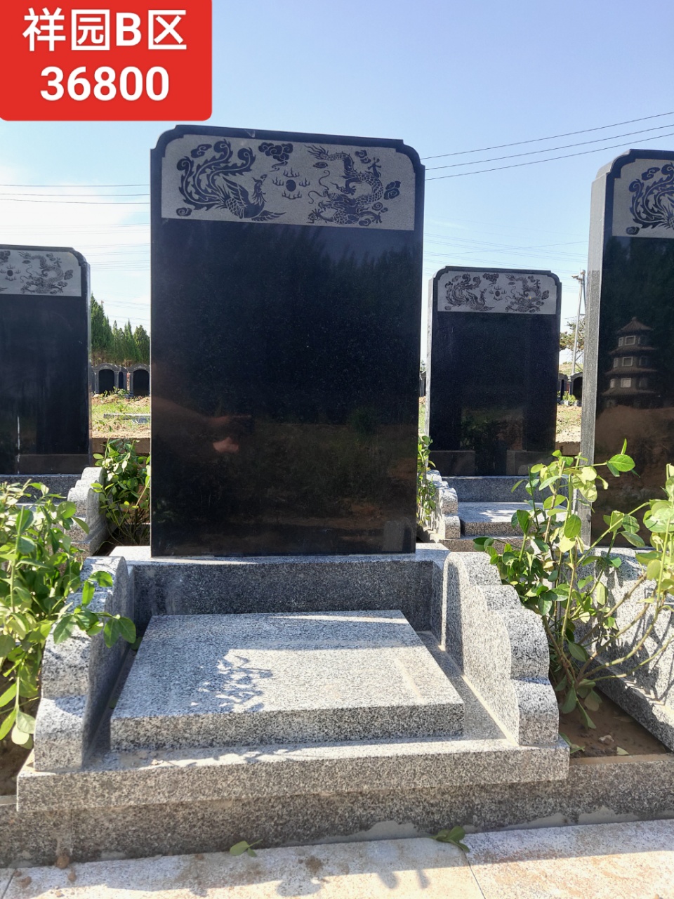望山祖园公墓祥园B区立碑