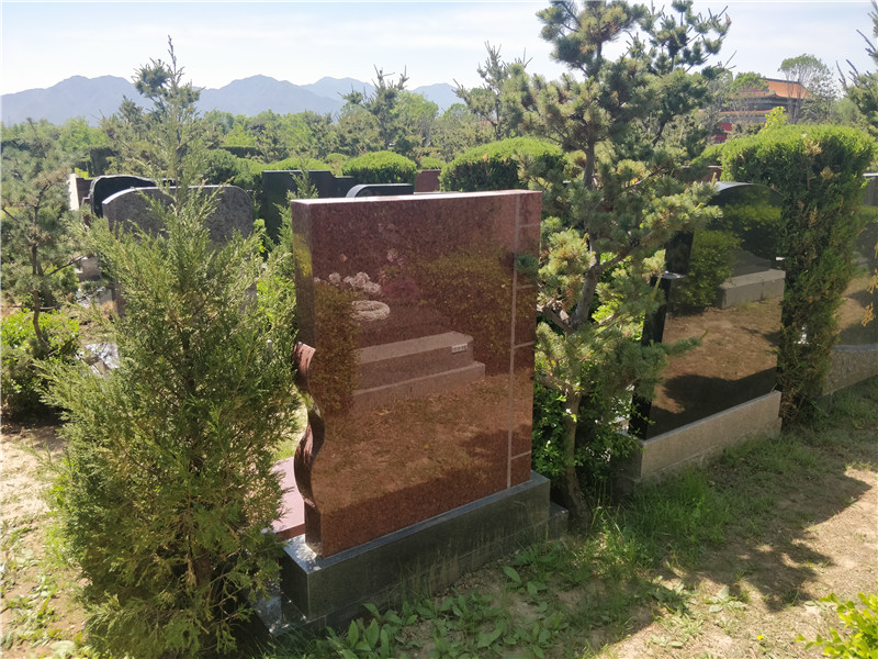 天寿陵园龙颌园立碑10