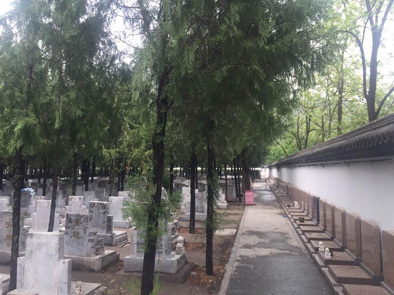 昌平凤凰山陵园——北京北部的宁静安息之地-1