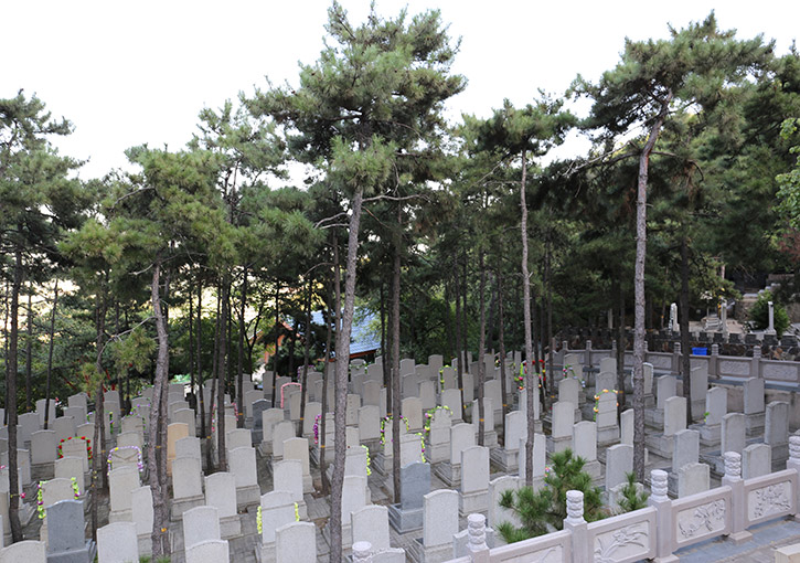 北京海淀区金山陵园价格指南-1