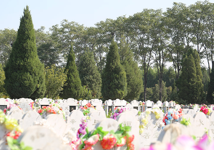 天慈墓园实地体验分享-2