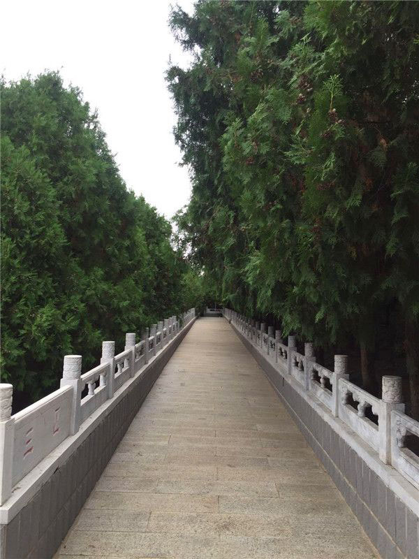 海淀区公墓选购指南：官方渠道与陵园环境解析-1