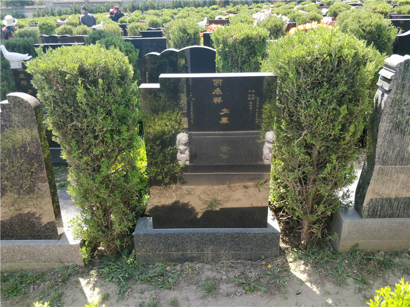 天寿陵园天荷园立碑186400