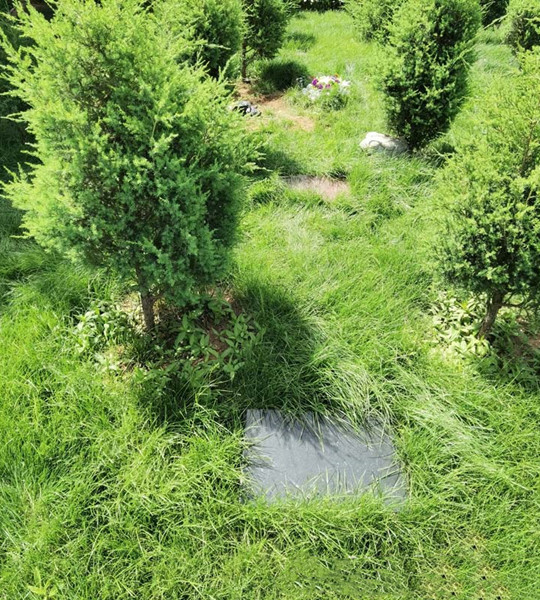 灵山宝塔陵园如意园树葬卧碑03