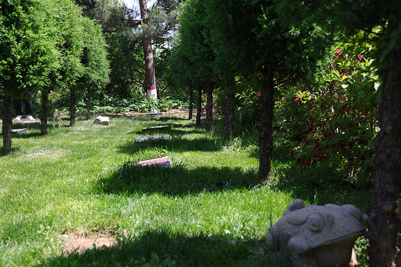 陵园如意园草坪绿化