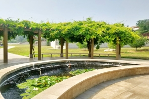 现代陵园设计的文化与生态融合趋势