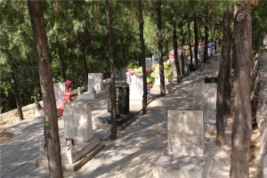 龙泉公墓景观图片