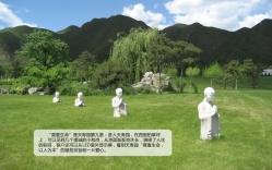 观复生命
