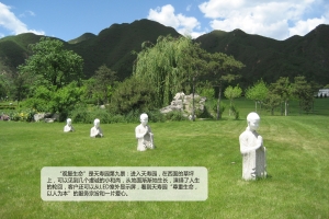 观复生命