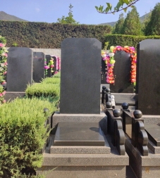 青峰园传统简约黑白