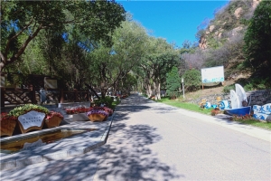 八达岭陵园景观图片