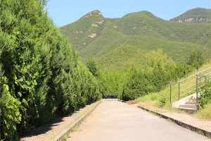 炎黄陵园景观图片