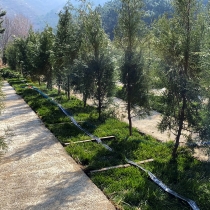 东二区生态葬16800