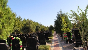 北京天慈陵园在哪