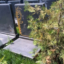 世尊园立碑828001