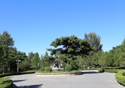 陵园停车场