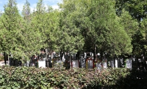 八达岭陵园环境图1-1P30G31915-50