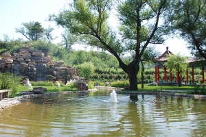 福安园公墓景观图片