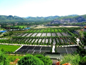 传统陵园建筑的艺术与文化价值探析