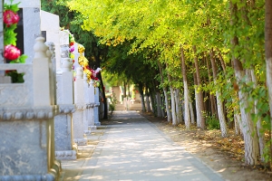 北京天堂公墓景观图片