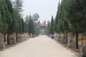 皇家龙山陵园景观图片