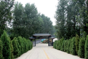 永福墓园景观图片