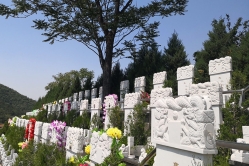 盘龙台公墓环境图