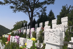 盘龙台公墓景观图片