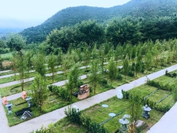永宁陵园环境实拍