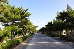 太子峪陵园环境图