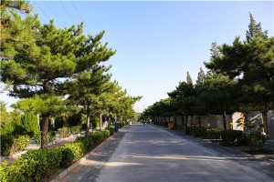 太子峪陵园景观图片
