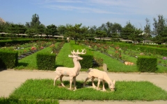 长安园公墓环境图1-1F621142447