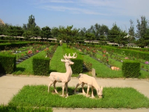 长安园墓园价格解析与服务全览