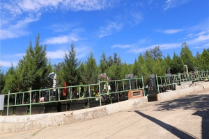 炎黄陵园景观图片
