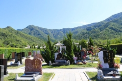 天山陵园环境图