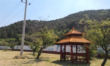 盘龙台公墓环境图161164219392371