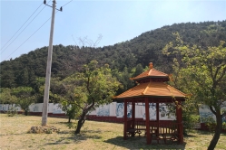 盘龙台公墓环境图