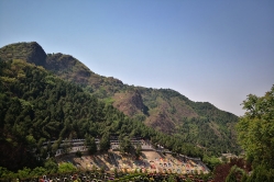 盘龙台公墓环境图